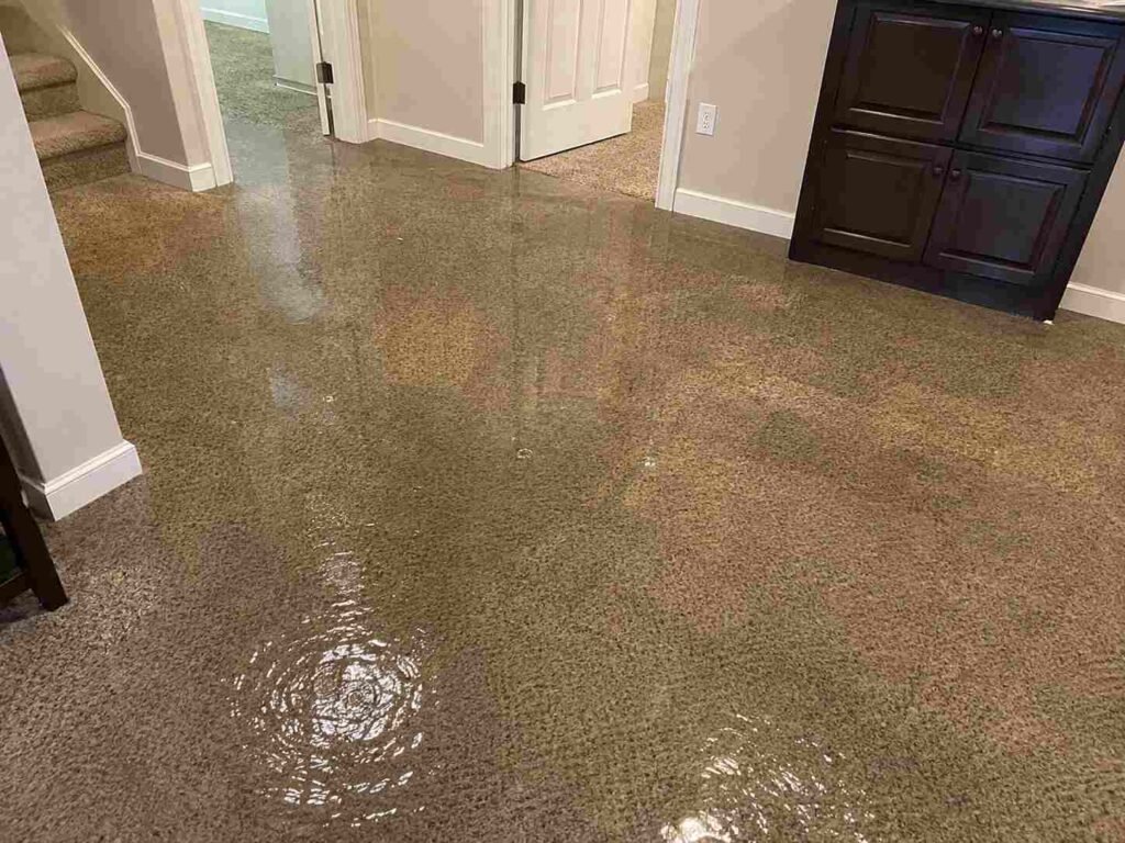 Standing water on carpet before water extraction